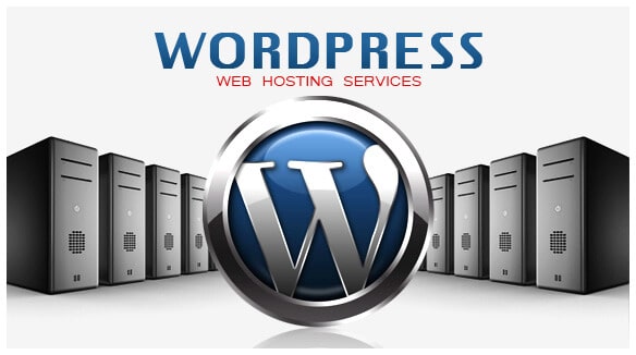 IDATA – Nhà cung cấp hosting tốc độ cao cho wordpress hàng đầu[2023]